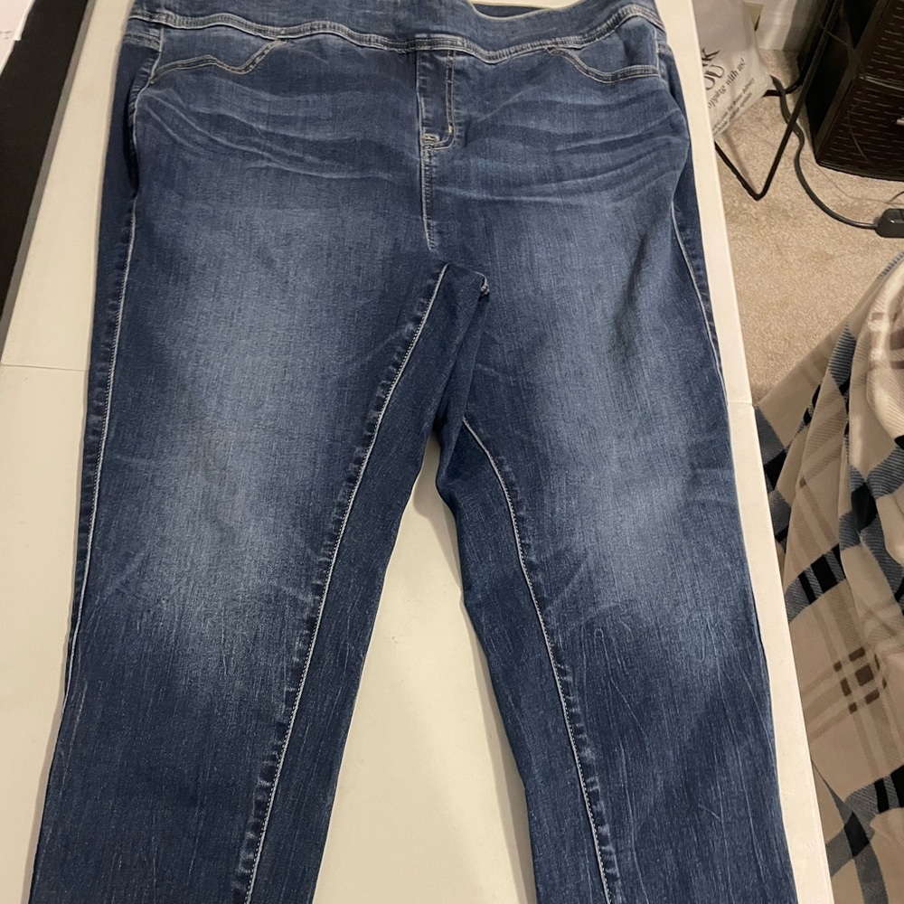 Torrid Classic Blue Women's Skinny Jeans